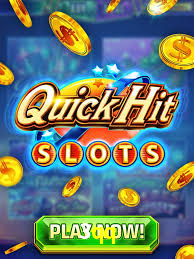 3qq,3qq.com